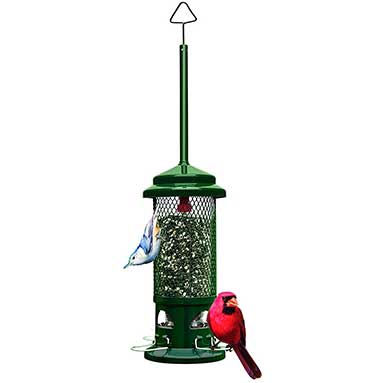 Anti Squirrel Bird Feeder