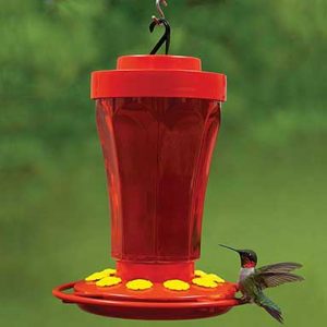 HHummingbird Flower Feeder