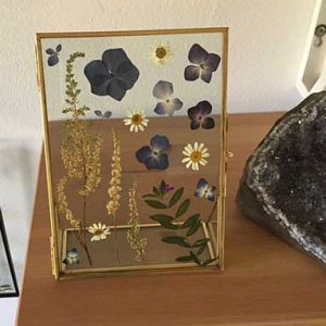 Pressed Flowers in Glass Frame
