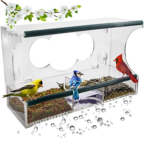 Birdious Deluxe Bird Feeder