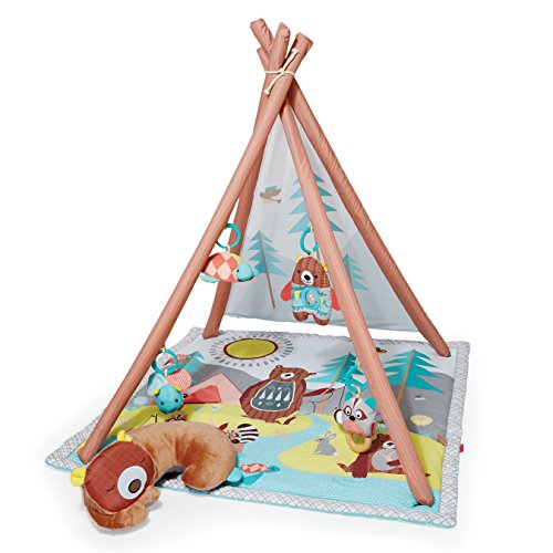 Camping Cubs Activity Gym and Playmat