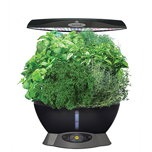 Indoor Smart Herb Garden