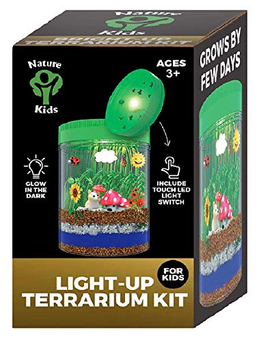 Light Up Terrarium Kit