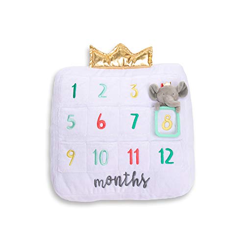 Milestone Months Pillow