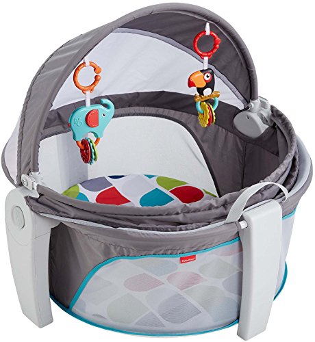 On the Go Baby Dome from Fisher Price