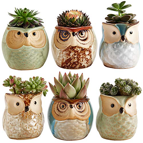 Owl Design Ceramic Succulent Pots