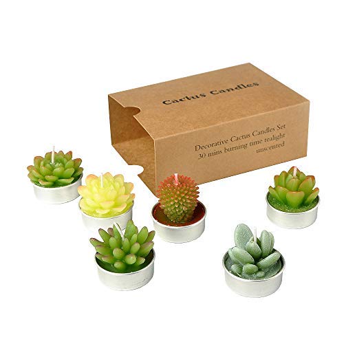 SanSeng Succulent Cactus Tealight Candles