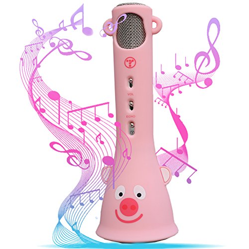 Wireless Bluetooth Karaoke Mic