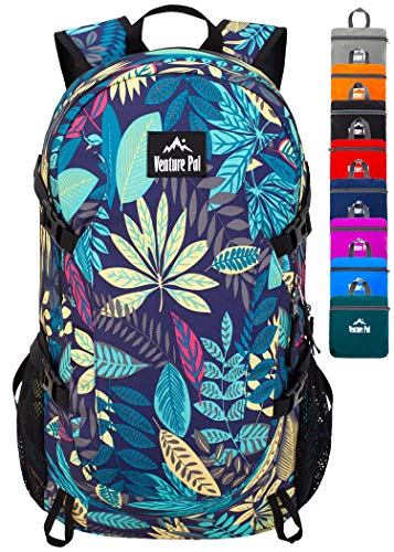 Venture Pal Hiking Pack