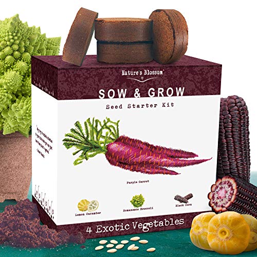 Exotic Vegetables Growing Kit