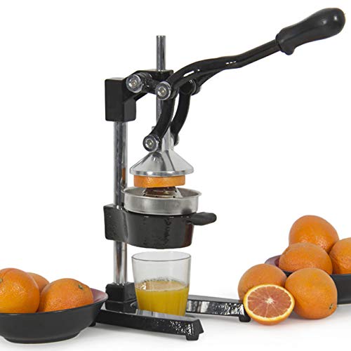 Vintage Juicer