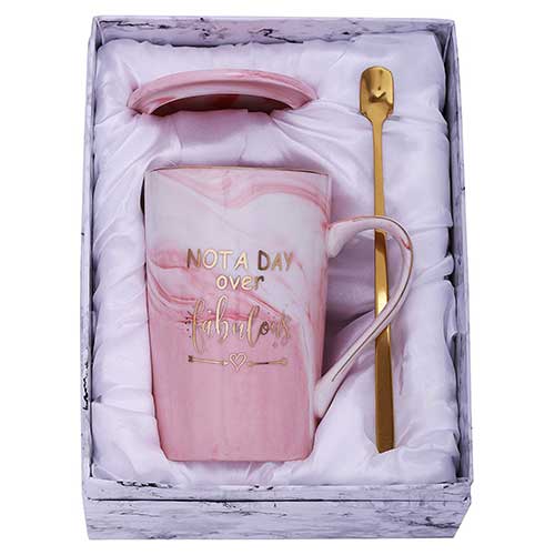 Not A Day Over Fabulous Birthday Mug