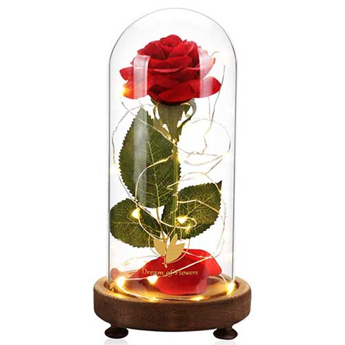 Rose Under Glass Dome