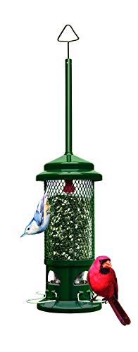 Squirrel Buster Squirrel-Proof Bird Feeder