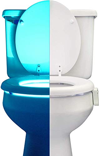 Toilet Bowl Night Light