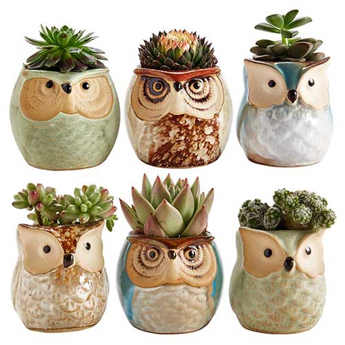 Ceramic Owl Succulent Flower Pots