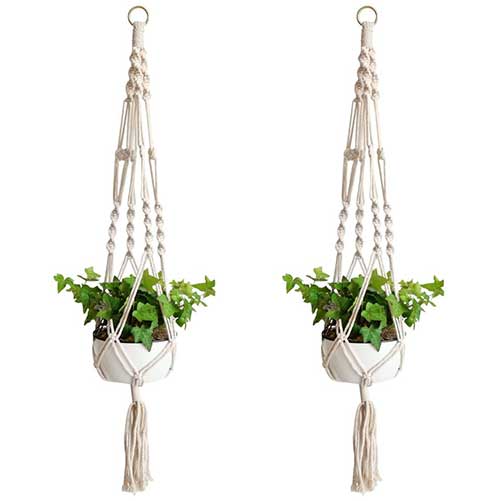 Cotton Plant Hangers