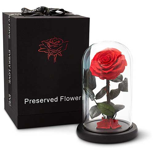 Preserved Flower