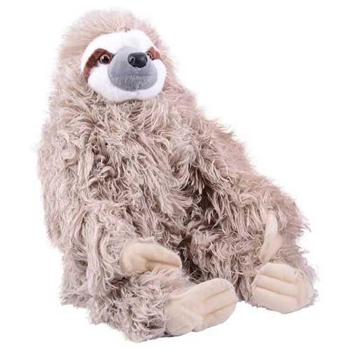 Stuffed Sloth