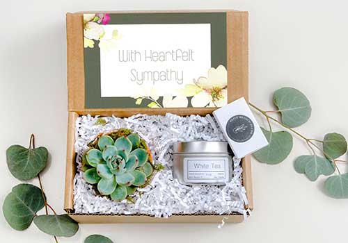 Succulent Sympathy Gift Box