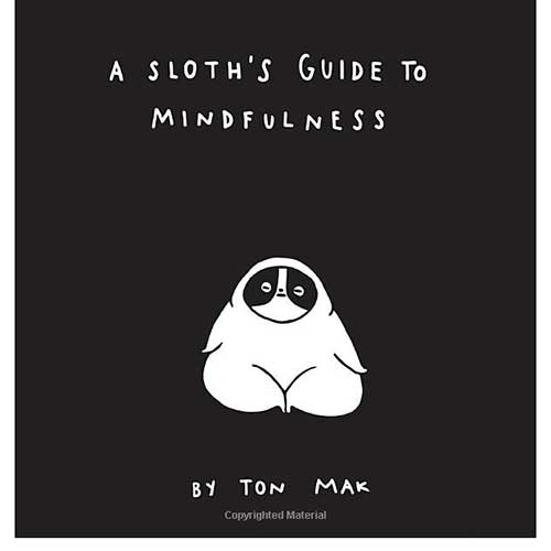 A Sloth's Guide to Mindfulness