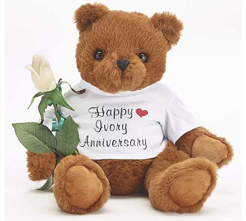 Happy Ivory Anniversary Teddy Bear