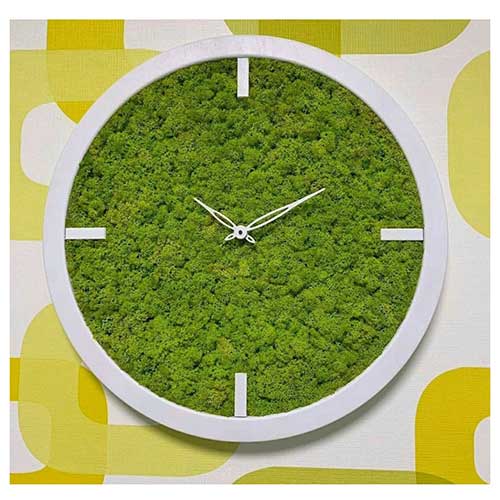 Moss Clock