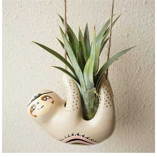 Sloth Planters