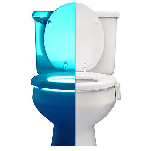 Toilet Bowl Night Light