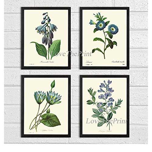 Botanical Set of Four Prints