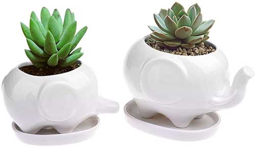 Elephant Plant Holders