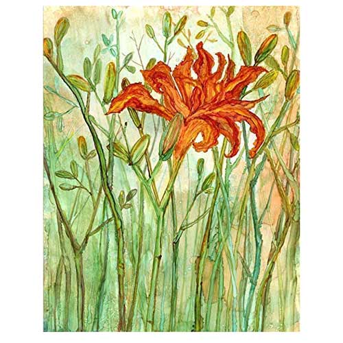 Orange Daylily Art Print