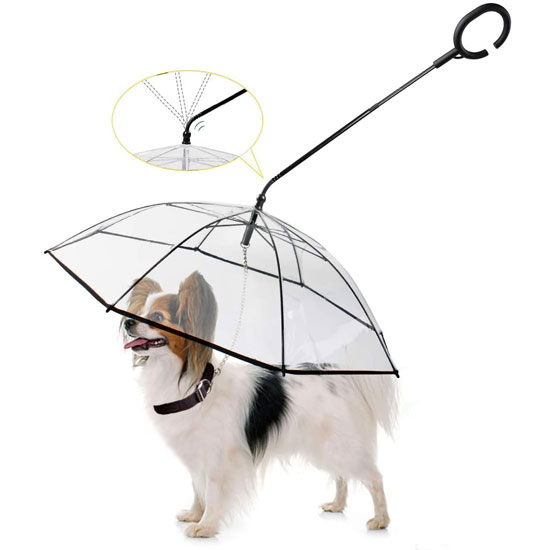 Dog Umbrella