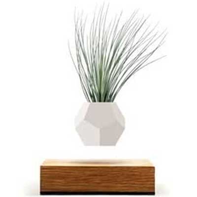 Levitating Plant Pot