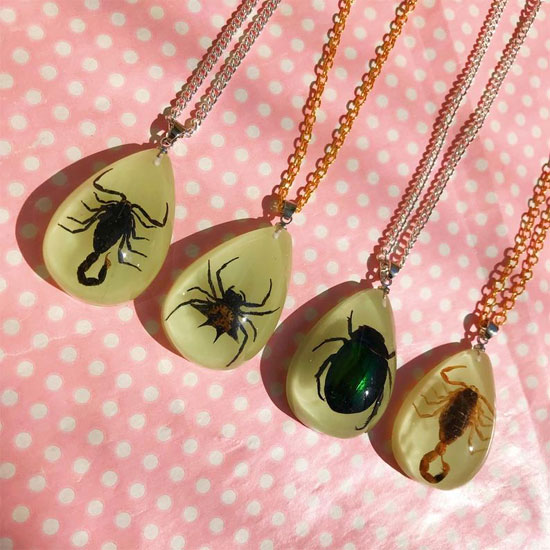 Real Insect Necklace