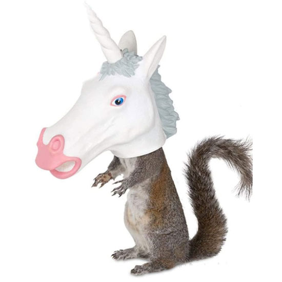 Unicorn Squirrel Feeder