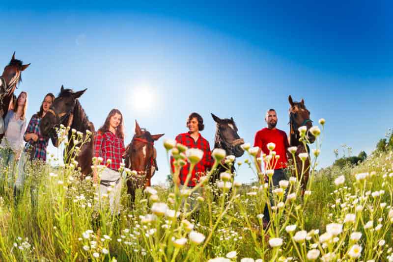 Friends on a horseback riding adventure