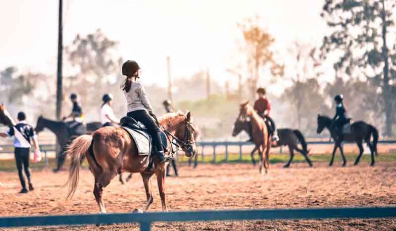 Horseback Riding Party