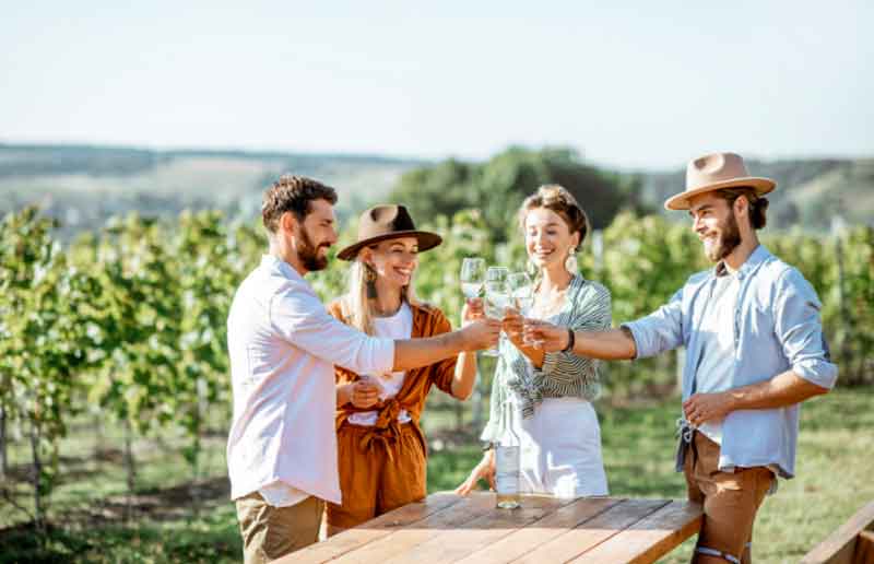 Wine tasting at a scenic vineyard