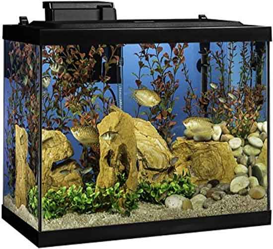 Aquarium