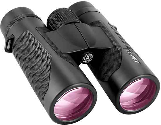 Bird Watching Binoculars