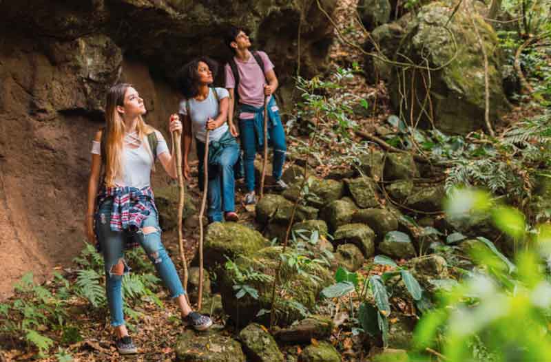 Friends hiking in the forest