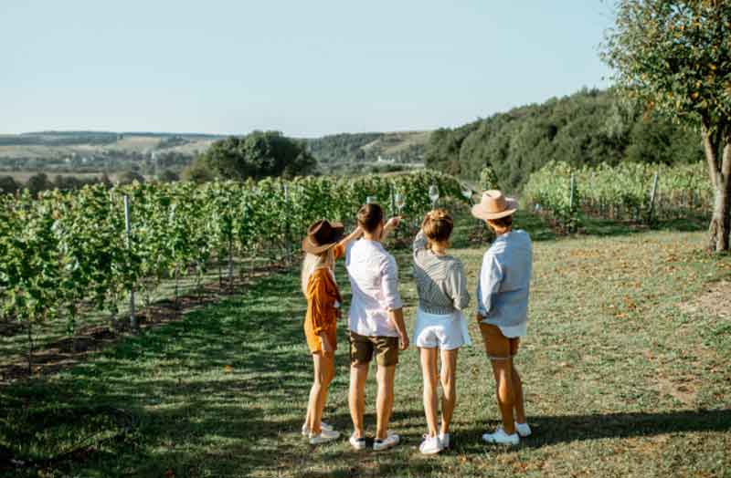 Friends visit the local vineyard