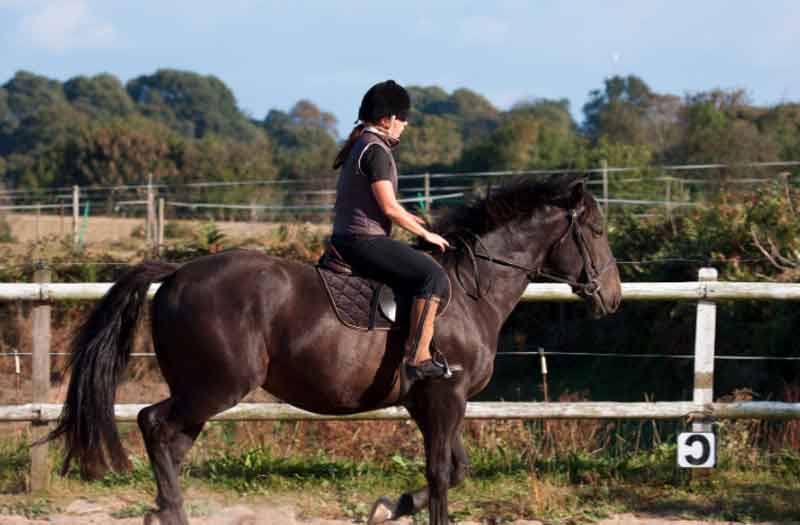 Horseback riding in a wine country