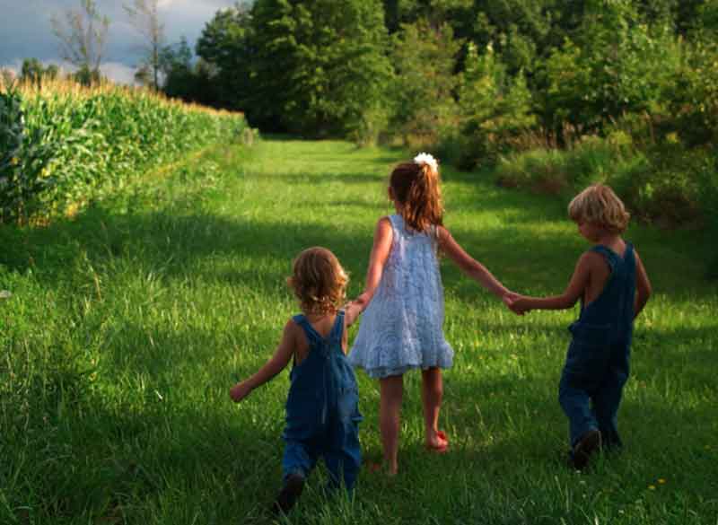 Kids playing at a farm