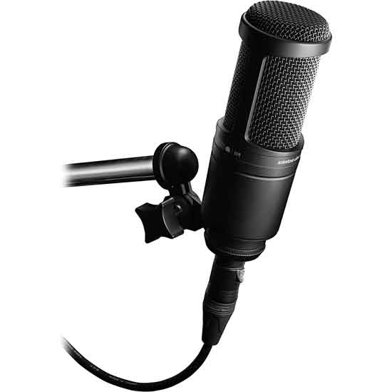 Microphone