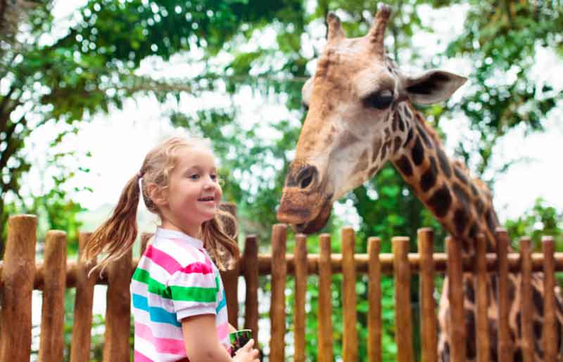 Petting Zoo Party