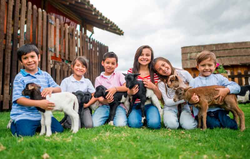 Petting Zoo Trip