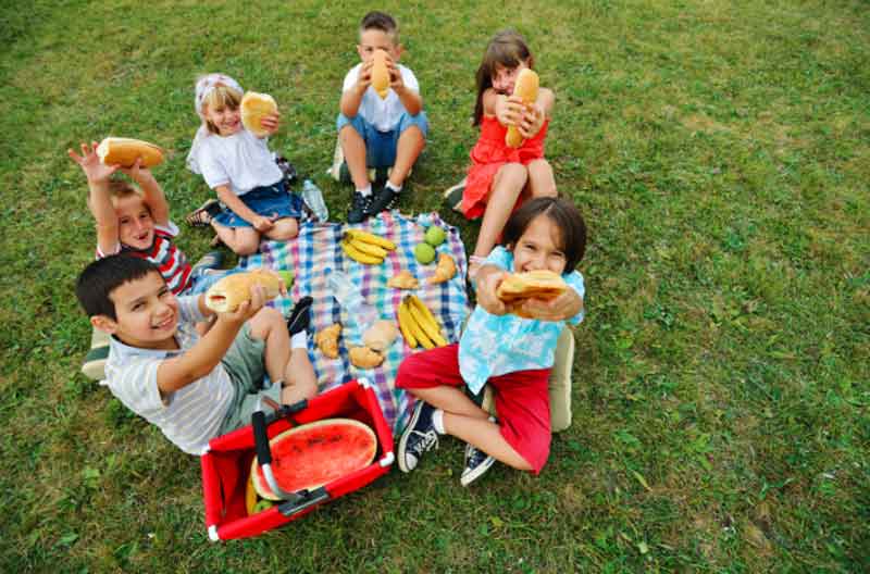 Picnic Party