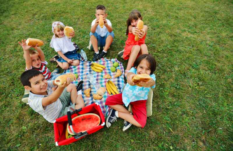 Picnic Party At The Park